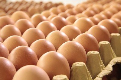 孝感鸡蛋检测价格,鸡蛋检测机构,鸡蛋检测项目,鸡蛋常规检测